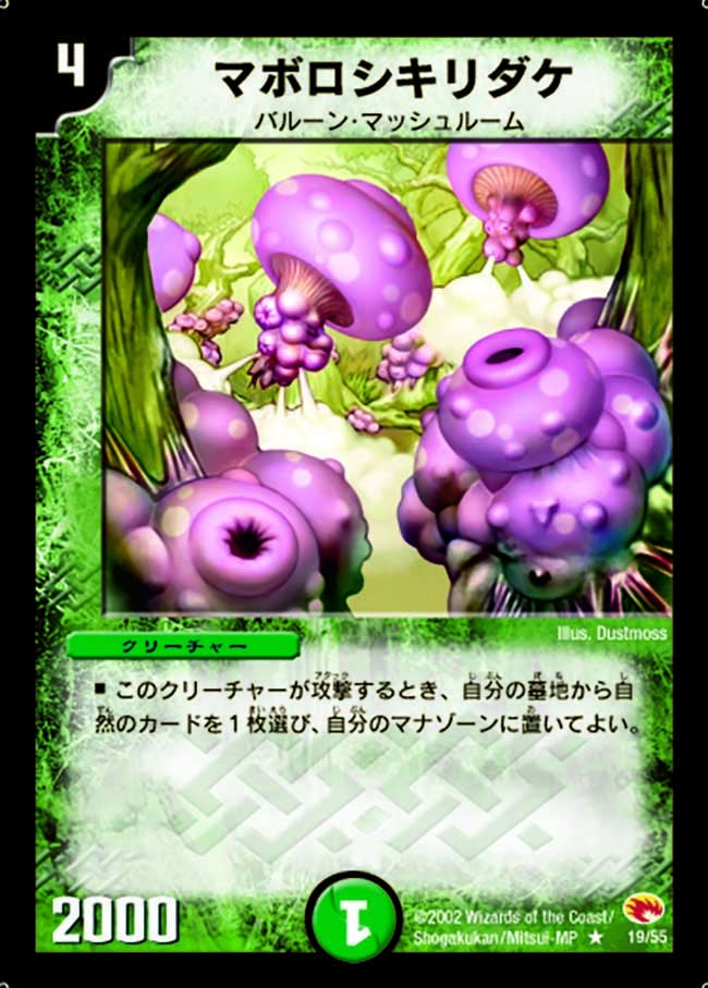 マボロシキリダケの画像