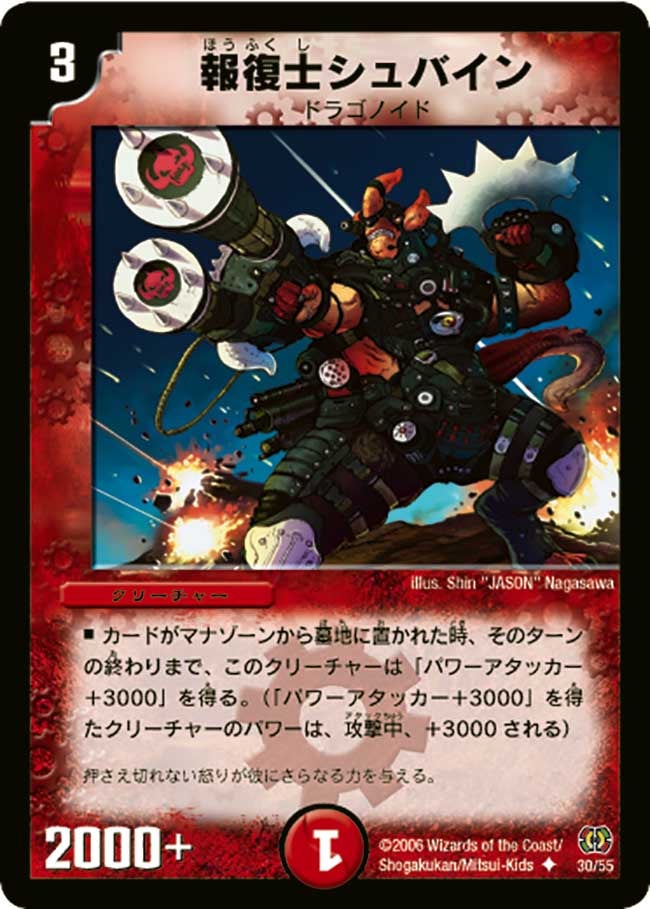 報復士シュバインの画像