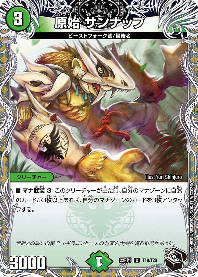 原始 サンナップ（dm22rp1-T19）の画像