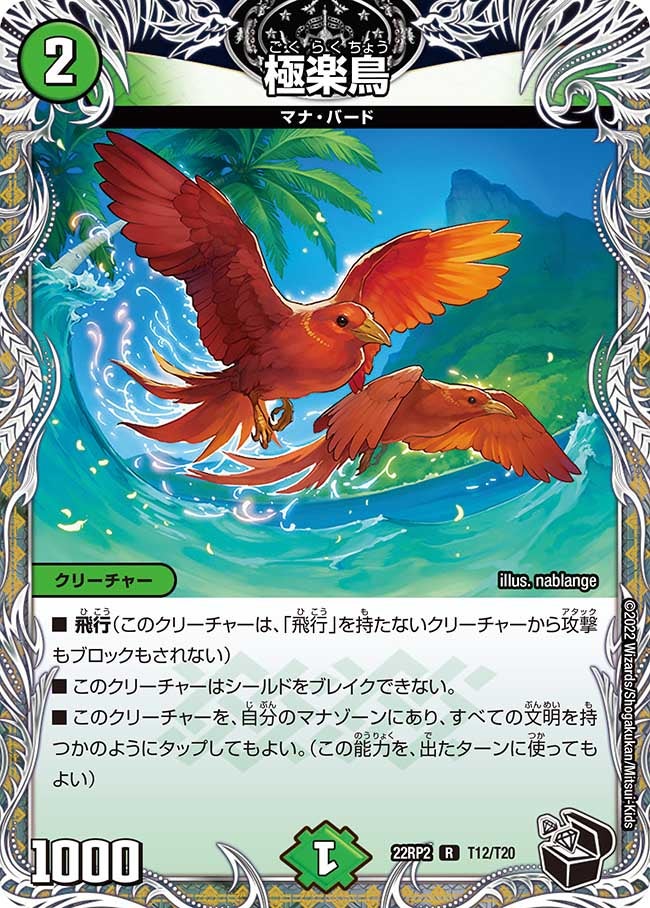 極楽鳥（dm22rp2-T12）の画像