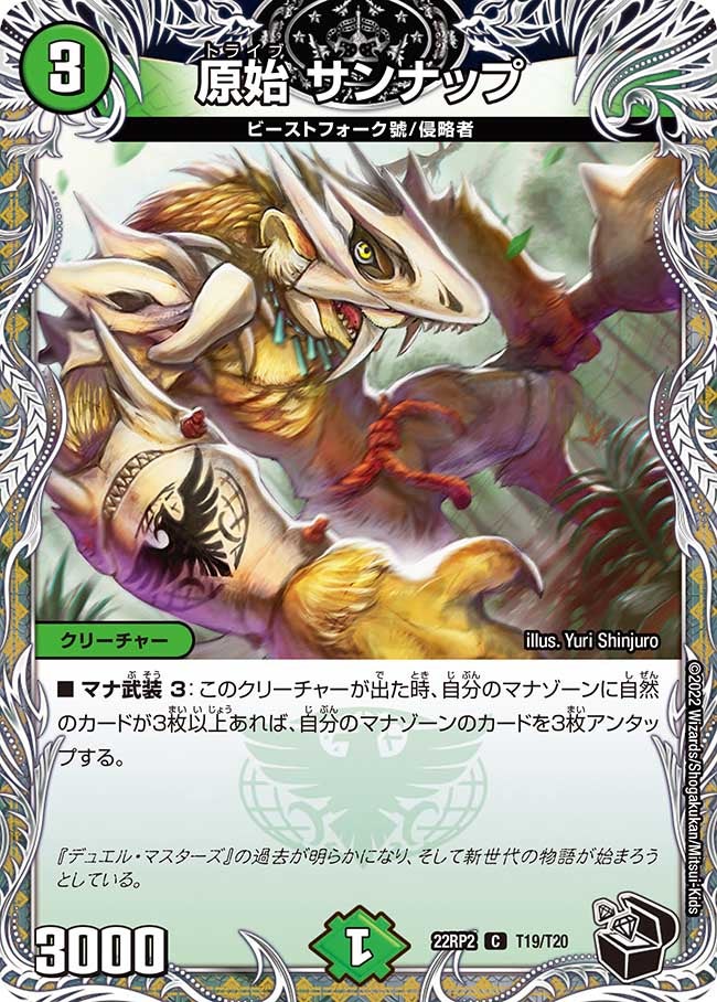 原始 サンナップ（dm22rp2-T19）の画像
