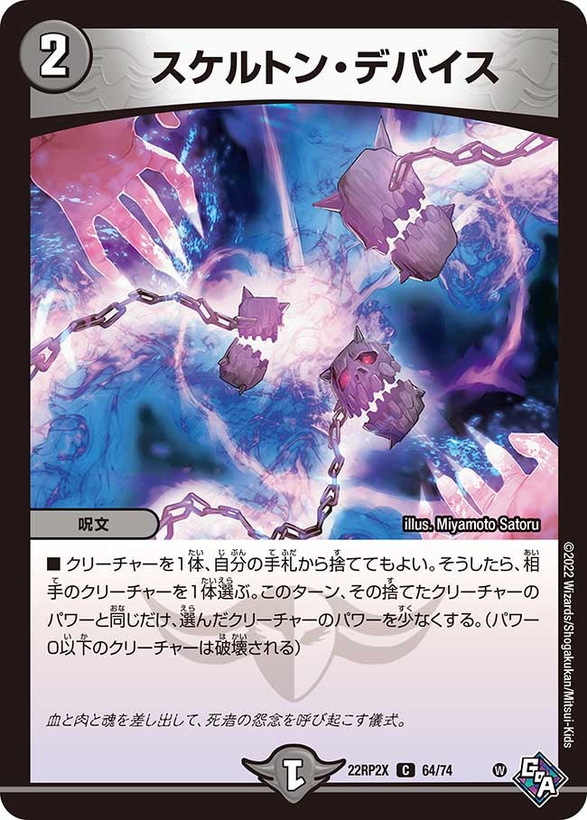スケルトン・デバイス（dm22rp2x-064）の画像