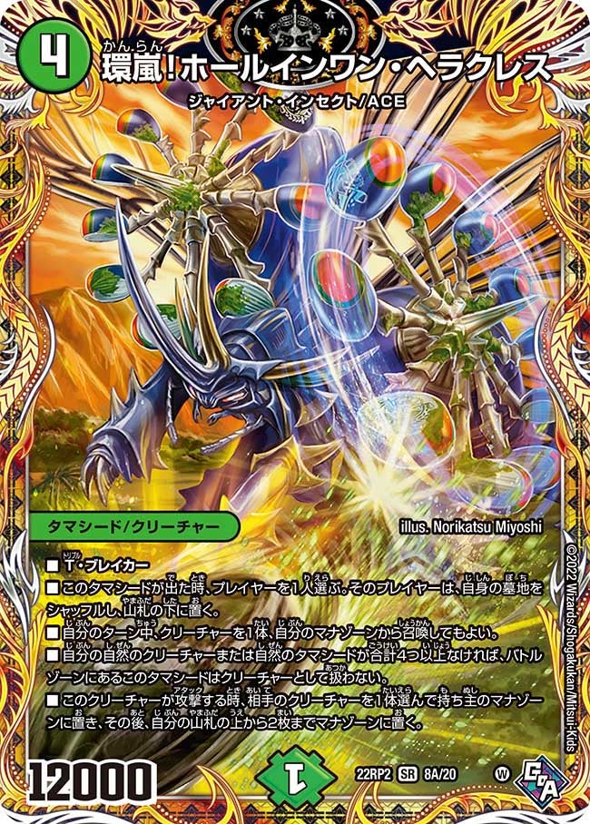 環嵐！ホールインワン・ヘラクレス（dm22rp2x-8A）の画像