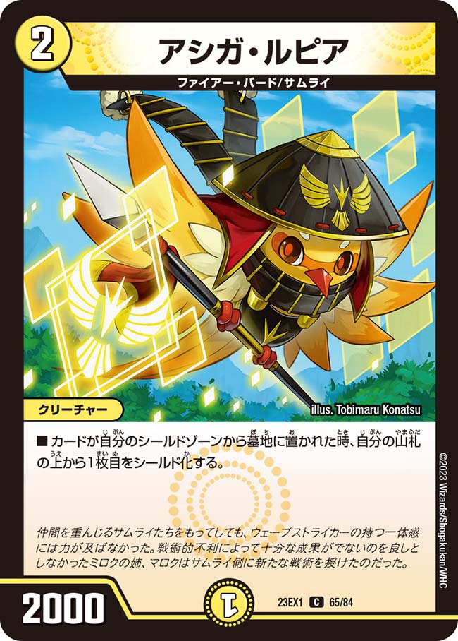 アシガ・ルピアの画像