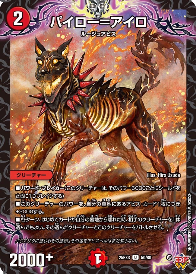パイロー＝アイロ（dm25ex3-050）の画像