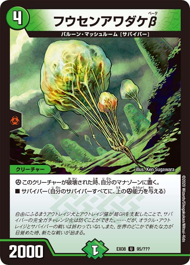 フウセンアワダケβ（dmex08-095）の画像