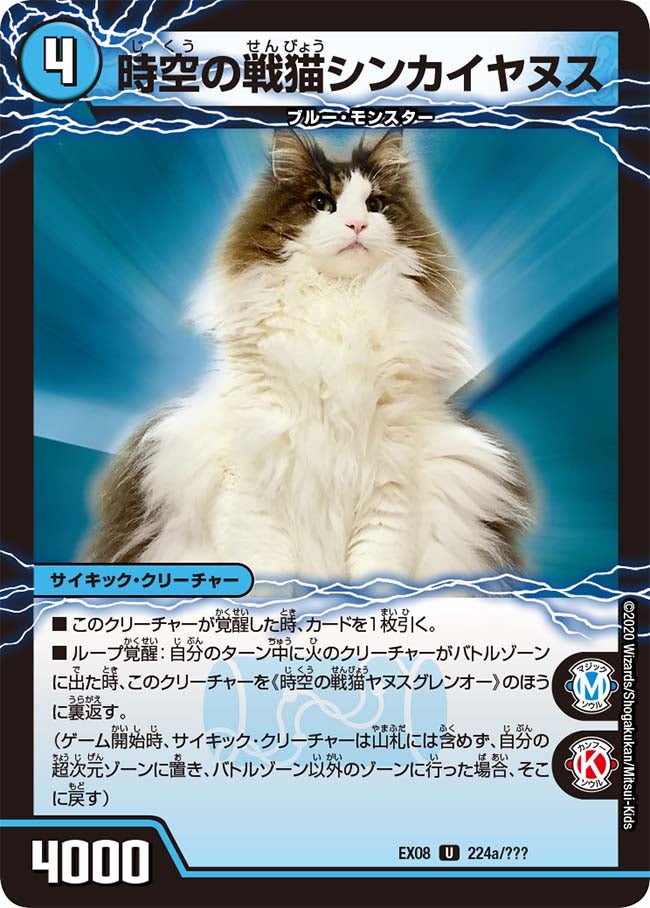 時空の戦猫シンカイヤヌス（dmex08-224）の画像