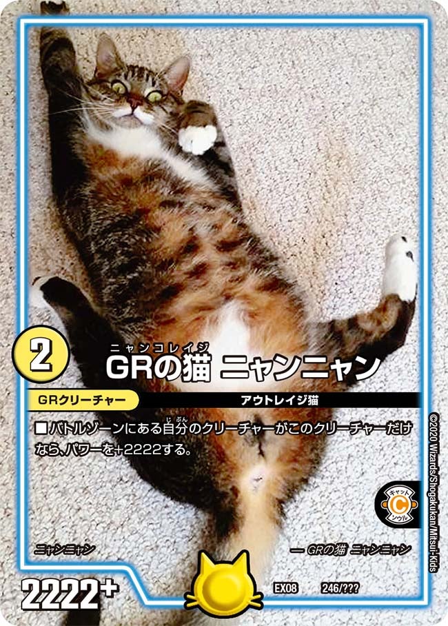 ＧＲの猫 ニャンニャンの画像
