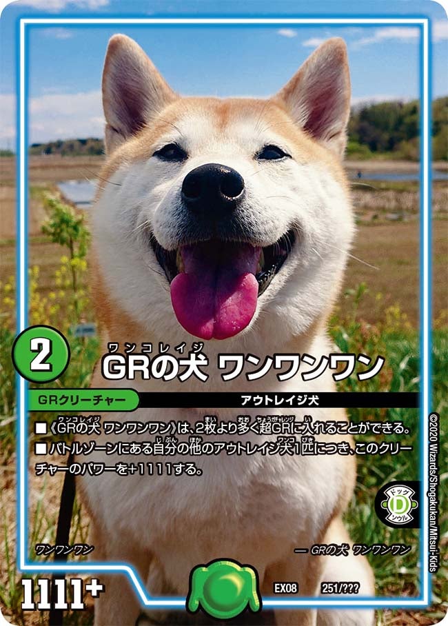 ＧＲの犬 ワンワンワンの画像