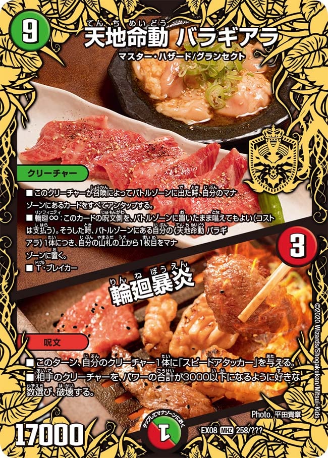 天地命動 バラギアラ / 輪廻暴炎（dmex08-258）の画像