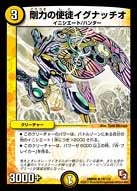 剛力の使徒イグナッチオの画像