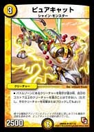ピュアキャットの画像