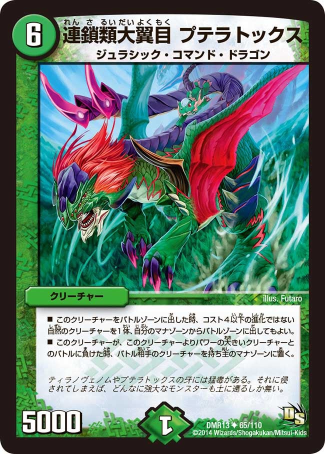 連鎖類大翼目 プテラトックス（dmr13-065）の画像