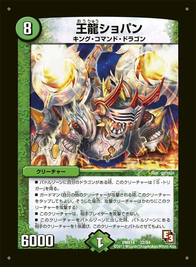 王龍ショパン（dmx14-022）の画像