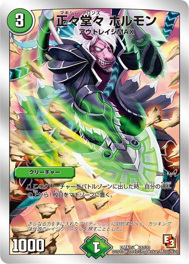 正々堂々 ホルモンの画像