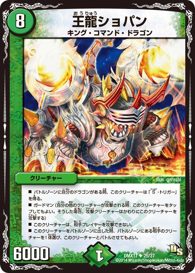 王龍ショパン（dmx17-025）の画像