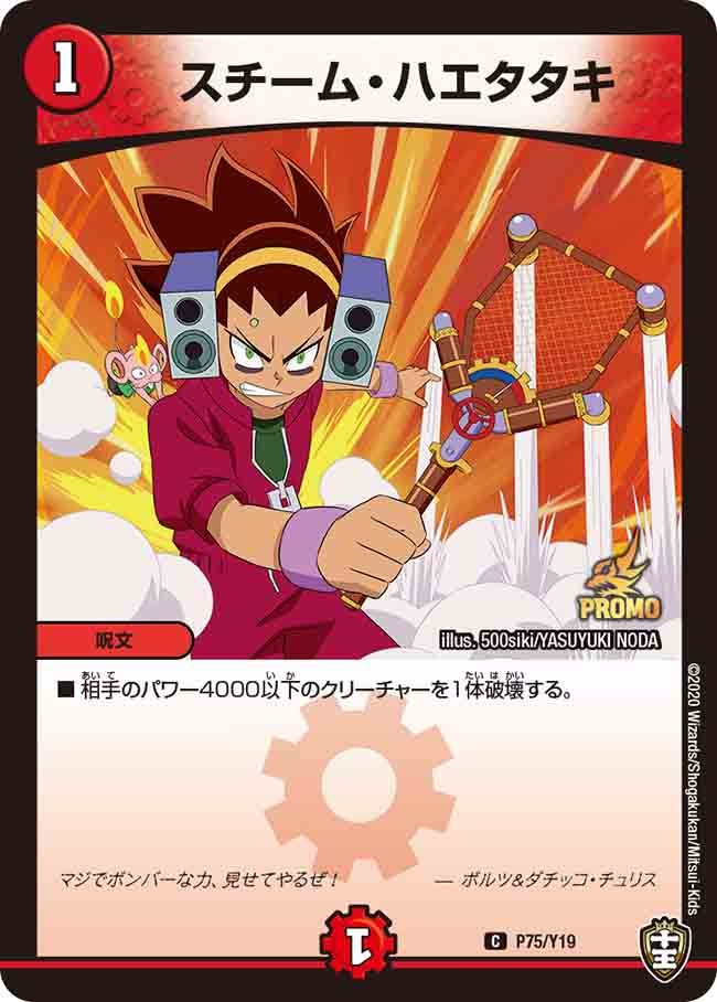 スチーム・ハエタタキの画像